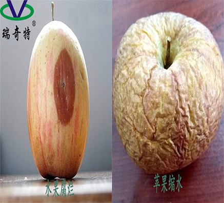 水果保鮮劑的神奇魔力